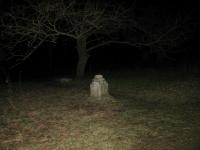 Chicago Ghost Hunters Group investigates Bachelors Grove (7).JPG